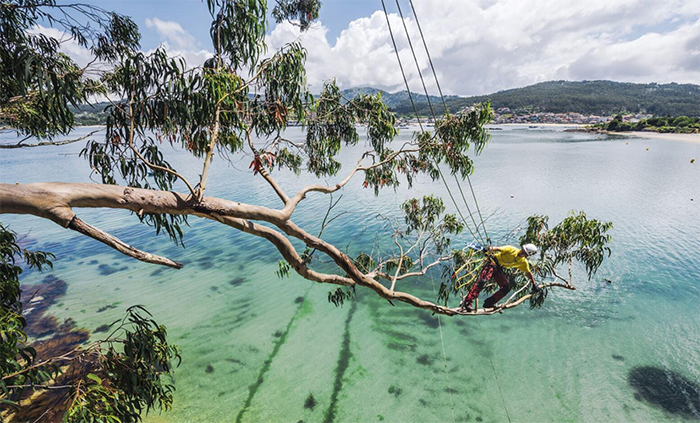 �������I(y��)��ȫ�K��