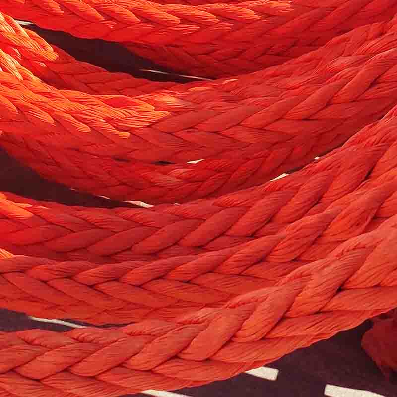 �߷����|�K�ăr��