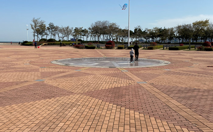 ���𑪼����y���������Oʩ��ͣ�Cƺ